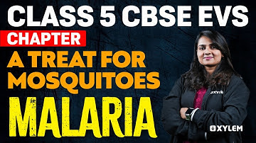 Class 5 CBSE Evs | Chapter - A Treat For Mosquitoes | Xylem Class 5 CBSE