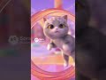 Cat Fantasy World Adventures - Candy Carnival Park
