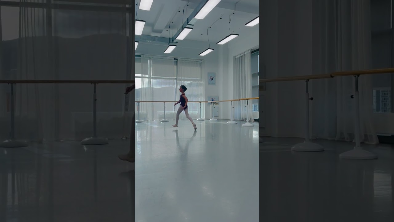 Started learning Paquita variation. It wasn't too bad for the first day :-)