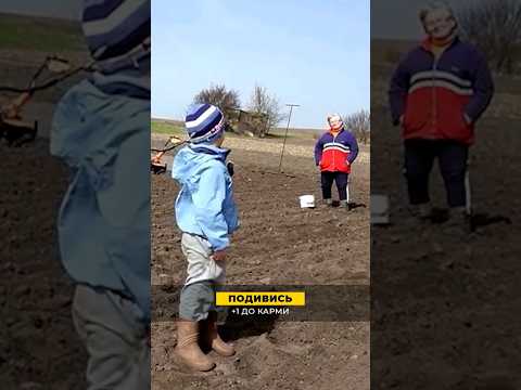 👉 Матвій Брус: