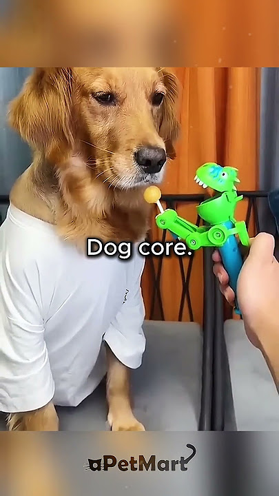 Dog Core. 🐶🐶 #dogs #dog #dogsoftiktok #funnyanimals #petvideos #cat #catsoftiktok #fyp