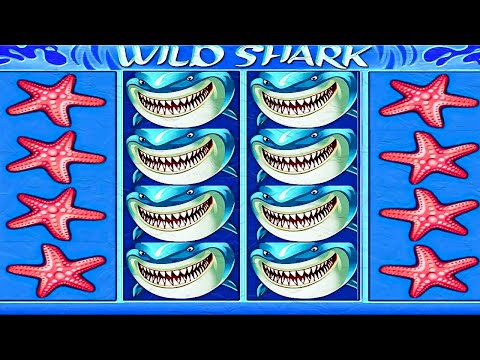 Erleben Sie Thrills im Win Shark Online-Casino: Jetzt in Österreich spielen!