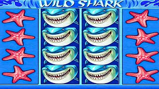 🦈 Wild Shark – Dive In and Grab Massive Wins! 🎰🌊 screenshot 4