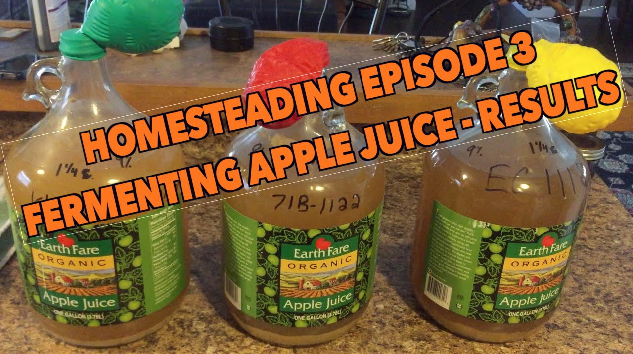 Homesteading Episode 3//Fermenting Apple Juice Part 2 YouTube