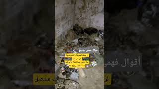 لقد كنت محقا