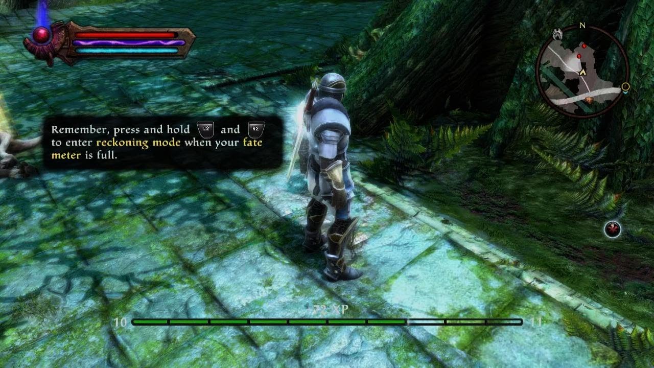 Kingdoms of Amalur ReReckoning glitch 2 YouTube