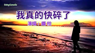 I'm really breaking down (What have I been busy with this year?) - Tiezhu (singing) - Karaoke