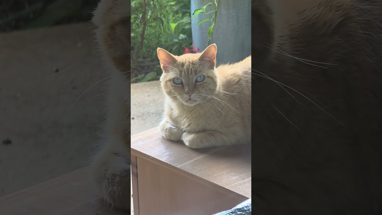 The Supervisor Is On Job