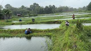 What Influence Does The Weather Have On Fishing For Eles