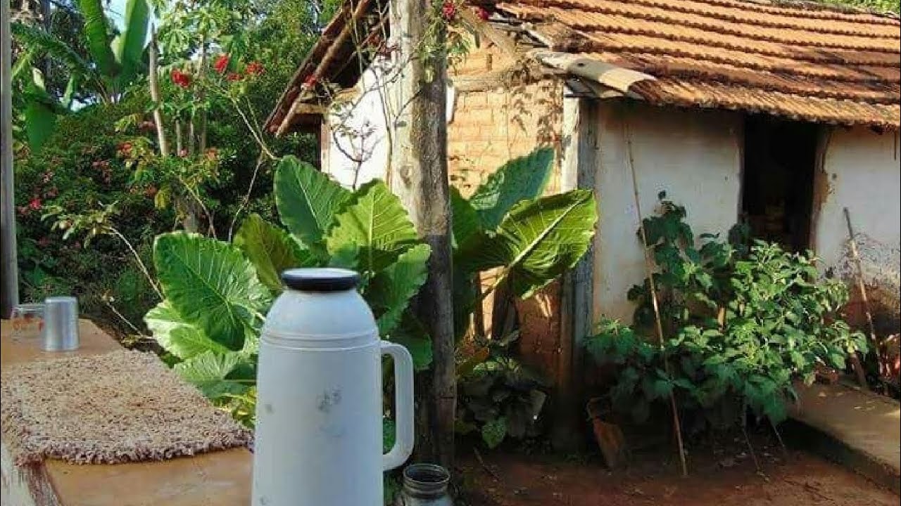 Lembranças e imagens da roça 😊 