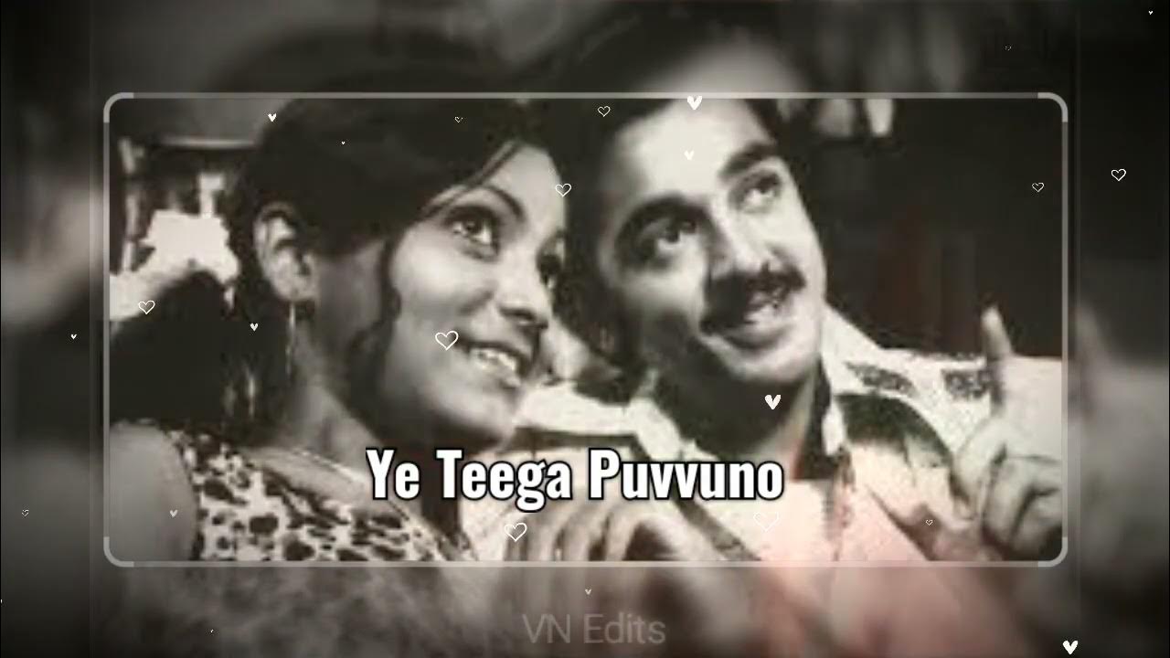 Ye Teega Puvvuno Old Song Free Download Ye teega puvvuno | Telugu | Whatsapp status song | Maro Charitra - YouTube
