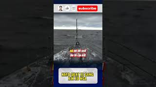 NATO QUAY XE SANG XIN XỎ NGA #news #putin