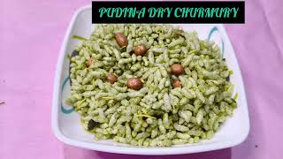 Katta Mieeta Pudina Dry Churmuri Recipe ಹಳ ಸಹ ಪದನ ಚರ ರಮರ