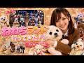 桃鈴ねねの物語を巡るウォーターライド！？空想テーマパーク「ねねちランド」体験Vlog【ホロライブ】もしも桃鈴ねねのテーマパークがあったら…？