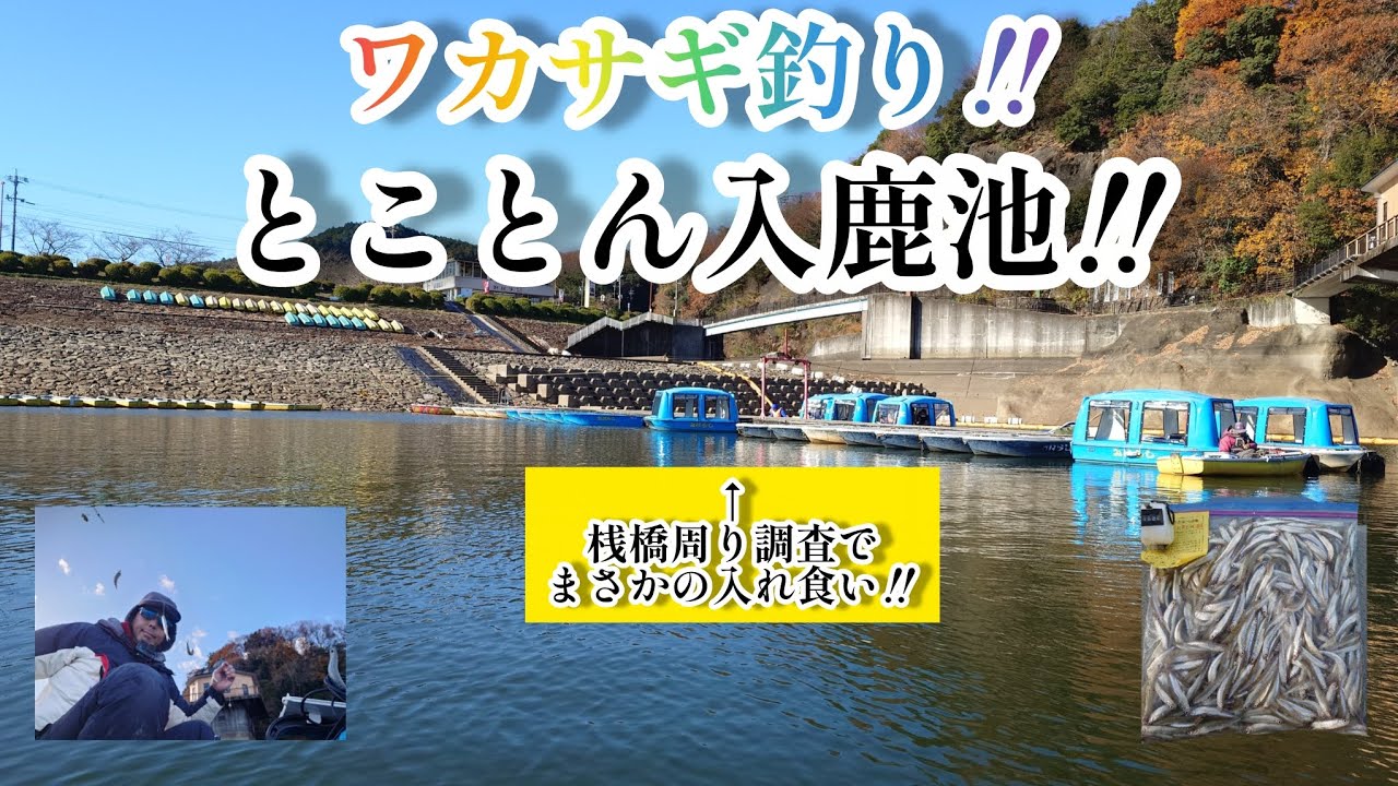 ワカサギ釣り‼️とことん入鹿池‼️桟橋周り調査でまさかの入れ食い‼️2025年12月15日