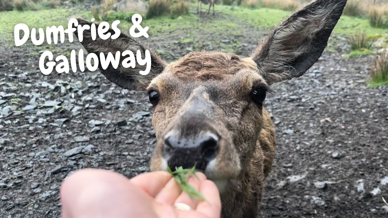 Dumfries & Galloway - 10 Things To Do