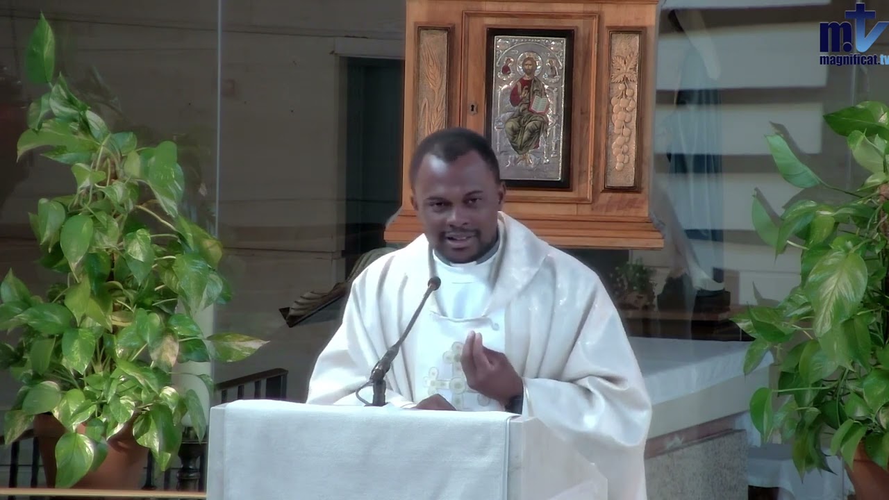 ✝️ Homélie | Solennité, Tous Les Saints | 1-11-2023 | P. Santiago Martín FM ✝️