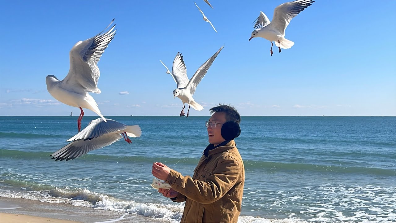 去首尔喂海鸥。釜山的海，首尔的街，还有美食，以前在韩国电影里看到的都亲眼看见了！
