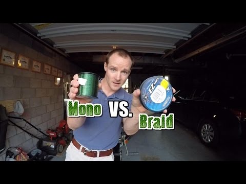 Video Catfishing line