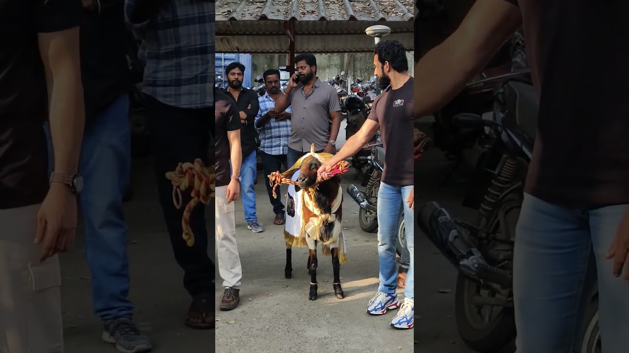 Real Goats on stage at Jockey Movie Press Meet in Chennai, a Tamil action drama rooted in