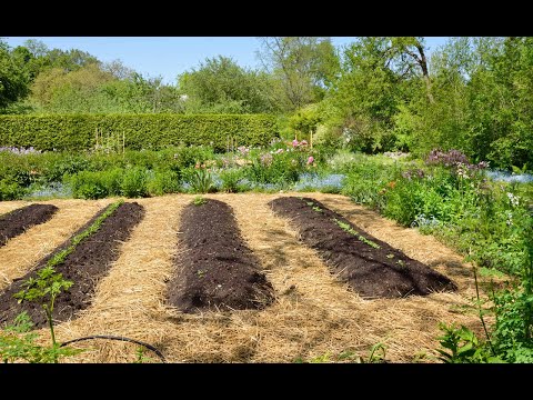 Video: Sfaturi de grădinărit ecologic – Tendințe în grădinărit verde pentru un pământ mai curat