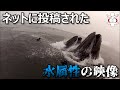 【水怖映像】インターネットに投稿された水属性な恐怖映像
