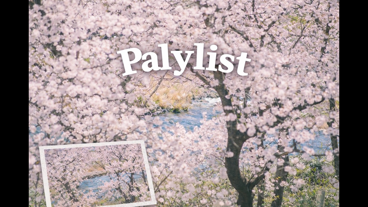 [Playlist] 봄이 피면 도파민 과다 분비