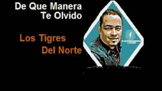 Karaoke Los Tigres Del Norte - De Que Manera Te Olvido(Demo)