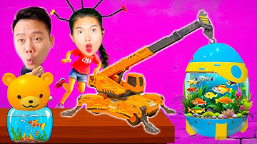 Changcady ra biển bắt con cá, con cua, trang trí bể cá làm từ xe cần cẩu