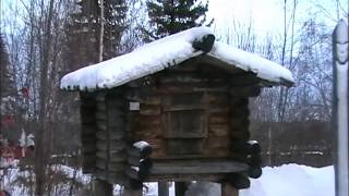 Учинский этнографический музей п.Половинка. Учинский этнографический музей п.Половинка.