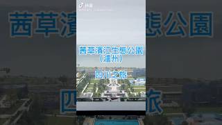 四川之旅：茜草濱江生態公園（瀘州） #瀘州 #自駕游 #特斯拉 #vlog旅行記