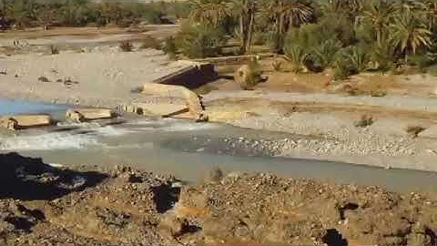 ما تيسر من سورة الشورى لا تنسوا مشاركة الفيديو