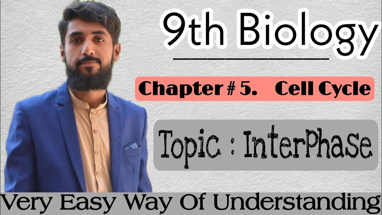 Interphase of Cell cycle |9th Biology| Biology with Madni shah||. - YouTube