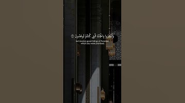 القارئ : #ناصر_القطامي  السورة : #سورة_فصلت