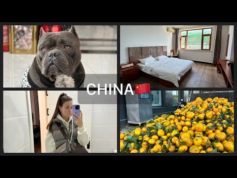 Поехала одна в Китай🇨🇳Хуньчунь|Цены|Гостиница|Часть 1