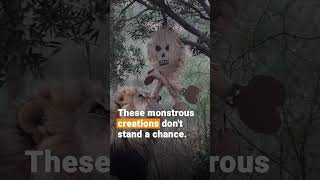 Lions Halloween Surprise | FOUR PAWS South Africa | [SUBS]