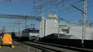 貨物列車 EF65 2117+コキ+タキ 配6794レ 西浦和