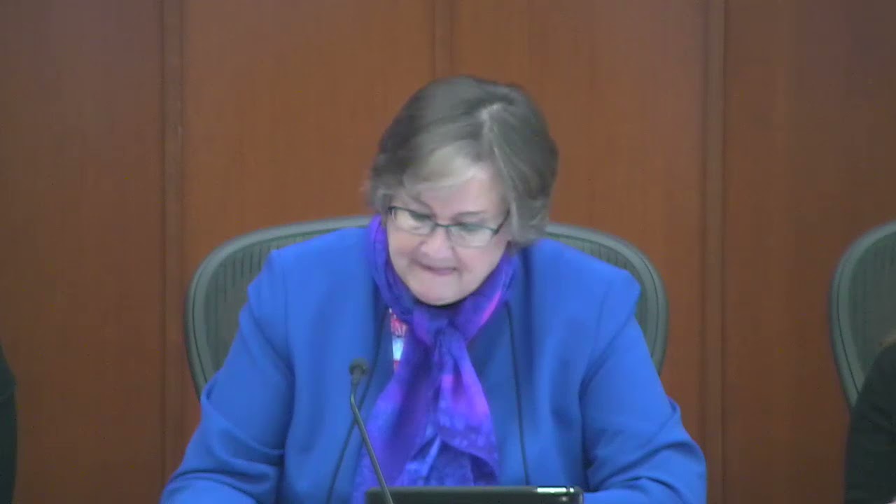 Metropolitan Council - 3-27-19