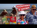 Рольф ФАНАТ Крыма / Отдыхаем на диком пляже