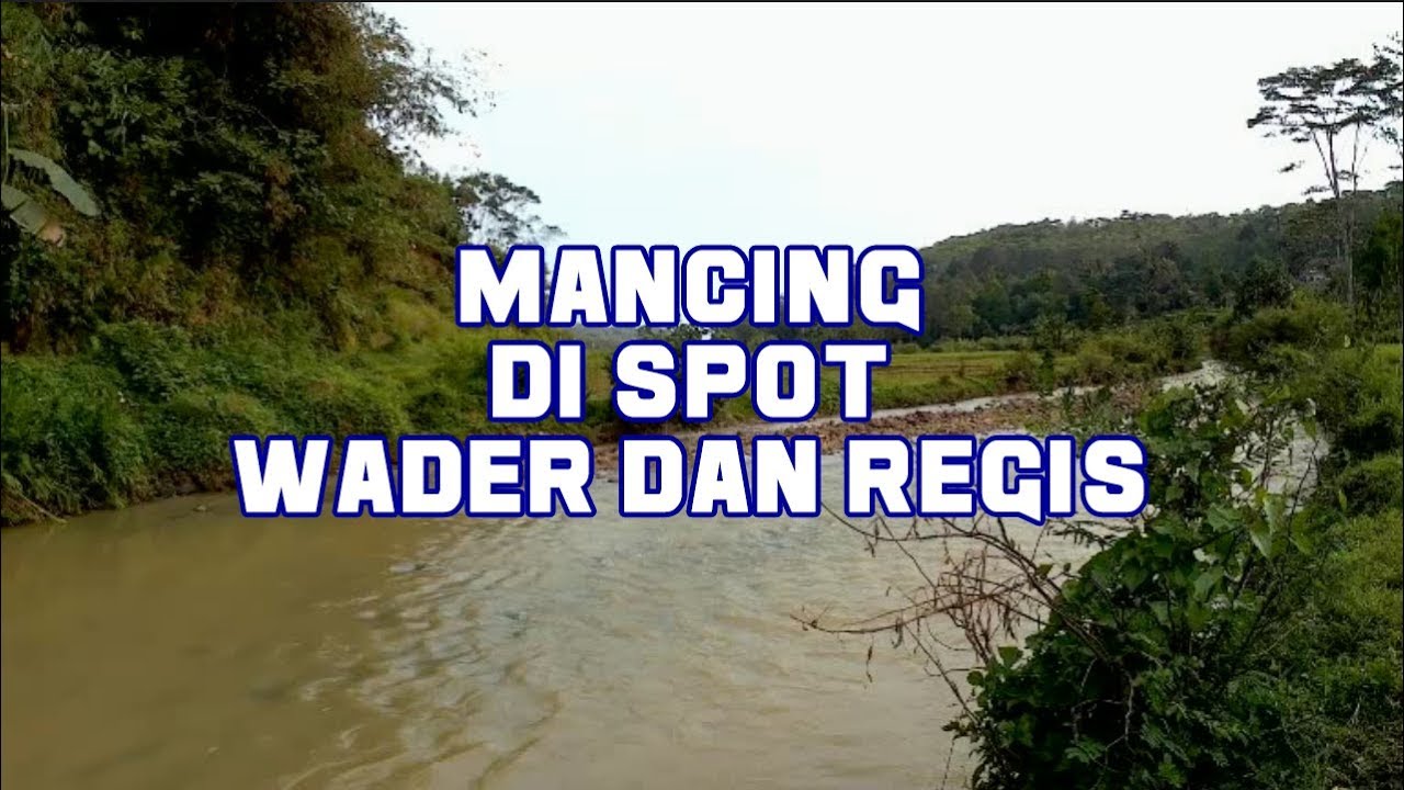 Mancing Ikan Regis di Spot Wader, WBMI Is Back 