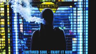Tortured Soul - Enjoy It Now