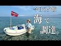 古民家暮らしの食料調達。海で高級魚を釣り、家に帰って食べた日 | 古民家生活