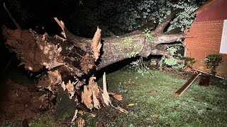 Storm knocks out power, topples trees in DeKalb County