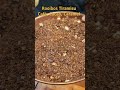 Vidéo: Rooibos TIRAMISU
