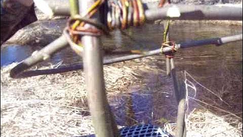 Nancy Today: pt 2 Making a willow ribbed basket ASMR weaving basketmaking (basket making tutorial)