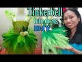 How to make tinkerbell tutu dress  diy