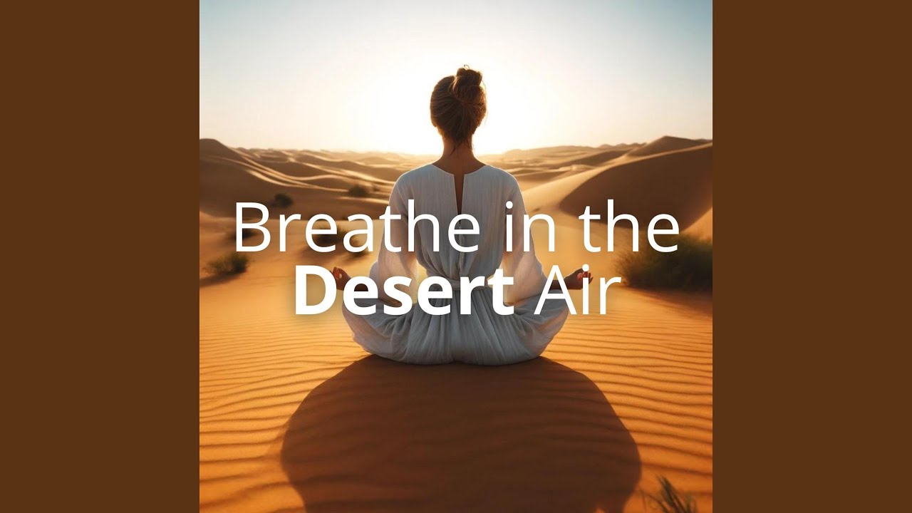 Night Falls Desert Awakens