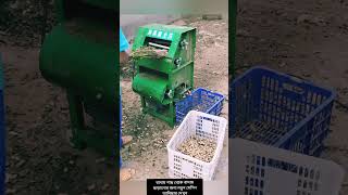 🚀 আধুনিক প্রযুক্তির জাদু! বাদাম সংগ্রহের সবচেয়ে দ্রুত মেশিন