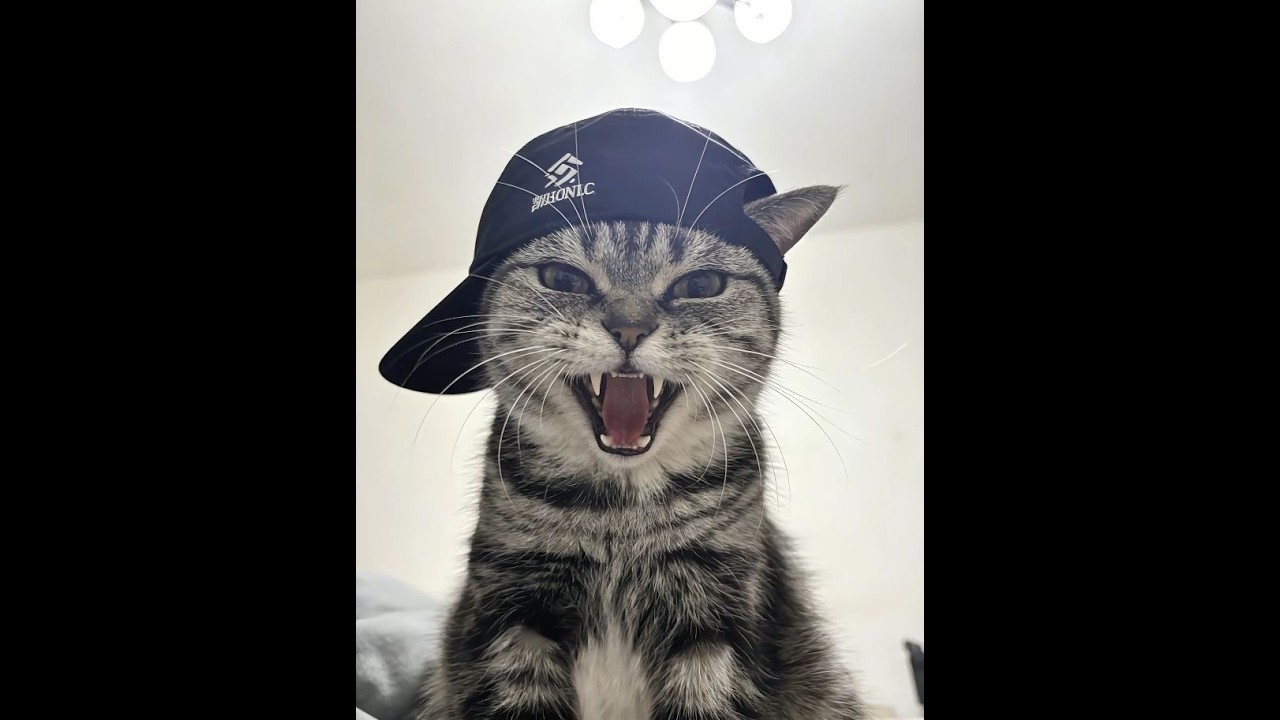 Short Arena Stream || FYB 💜|| #rp #nepalirp #grp