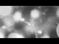 Trevor Larkin - The High Falls EP (Official Video)
